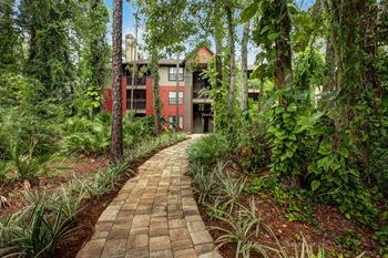 A path leading to a house