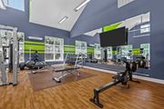 Stratford apartment for rent - A gym with a variety of equipment including a squat rack, bench press, and a mirror.