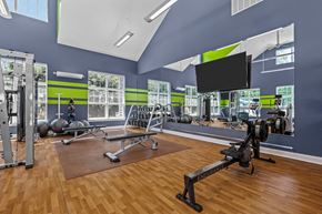 Stratford apartment for rent - A gym with a variety of equipment including a squat rack, bench press, and a mirror.