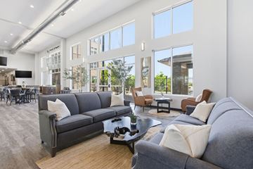Morgantown apartment for rent - A modern living room with a grey sofa and a coffee table.