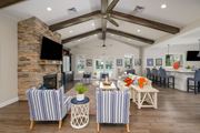 Millsboro apartment for rent - A living room with a stone fireplace and striped chairs.
