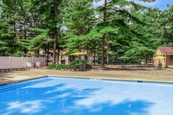 Outdoor pool surrounded by mature pine trees
