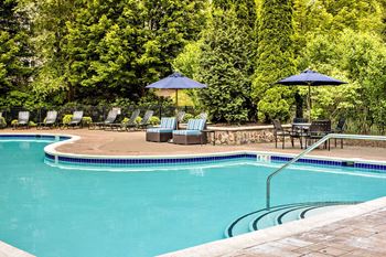 A swimming pool with chairs and umbrellas in front of trees