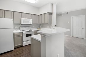 Lewisville apartment for rent - Large spacious kitchen with countertop and bar space at The Remington, Lewisville, TX