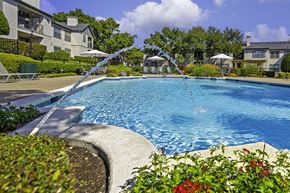 Plano apartment for rent - Swimming pool at the Prestonwood Hills Texas, 75093