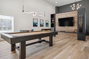 Olympia apartment for rent - a games room with a pool table and a tv