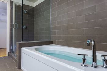 Oversized bathrooms with separate shower and tub