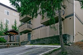 Redmond apartment for rent - A tree is in front of a building.