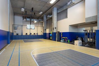 Full length basketball/volleyball court