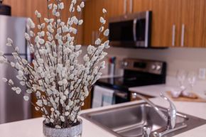 Seattle apartment for rent - a vase with white flowers sitting on a kitchen counter