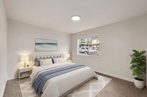 Burien apartment for rent - A bedroom with a large bed and a potted plant.