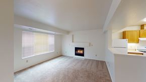 Bellingham apartment for rent - an empty living room with a fireplace and a window