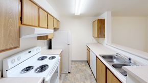 Bellingham apartment for rent - a kitchen with a stove and a sink and a refrigerator