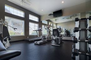 Auburn apartment for rent - a gym with weights and cardio equipment at the at the grove apartments