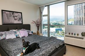 Honolulu apartment for rent - a dog laying on a bed in a bedroom with a view of the city