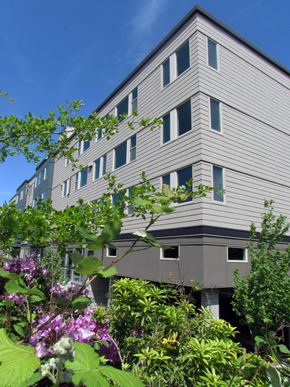 Bellevue apartment for rent - A grey building with a lot of windows and plants in front.