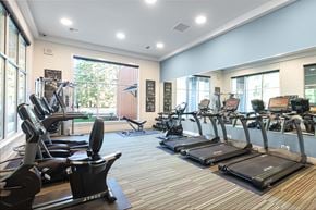Arlington apartment for rent - the gym at the preserve at polk apartments