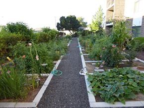 Kennewick apartment for rent - a garden with a pathway and plants in it