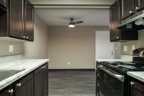 Mountlake Terrace apartment for rent - a kitchen with a stove and a ceiling fan
