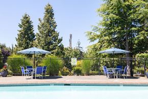 Mountlake Terrace apartment for rent - a swimming pool with blue chairs and umbrellas next to a resort pool