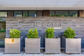 Kirkland apartment for rent - Four concrete planters with green plants in front of a wall with the word VELOCITY on it.