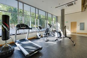 Kirkland apartment for rent - A gym with treadmills, weights, and exercise equipment.