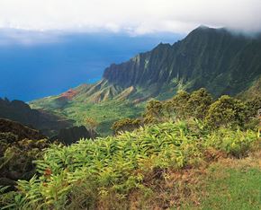 Pahala Holei apartment for rent - a view of the kalalau valley and the pacific ocean from the top of