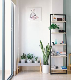 Bellingham apartment for rent - a living room with plants and a shelf
