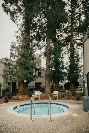 Davis apartment for rent - Trees near the Sundance spa.