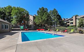 Denver apartment for rent - A swimming pool surrounded by lounge chairs and trees.