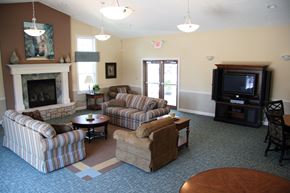 Norwalk apartment for rent - a living room with couches a fireplace and a tv