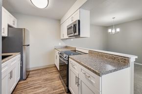 Mount Pleasant apartment for rent - A kitchen with a granite countertop and stainless steel appliances.
