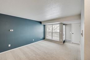 Mount Pleasant apartment for rent - A room with a blue wall and a carpeted floor.