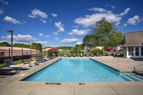 Mount Pleasant apartment for rent - A pool with a no diving sign in the water.