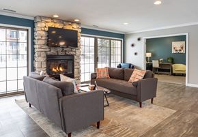 Mount Pleasant apartment for rent - A living room with a stone fireplace and two grey couches.