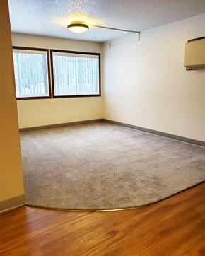 St. Charles apartment for rent - an empty living room with a rug and a window