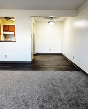 Willmar And  Alexandria apartment for rent - A room with a grey carpet and wooden floor.
