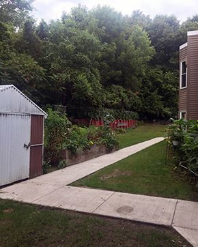 Winthrop apartment for rent - a sidewalk leading into a garden with a shed and a fence