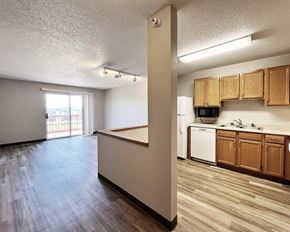 New Ulm apartment for rent - A kitchen area with wooden cabinets and a white dishwasher.