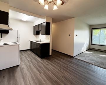 Mankato apartment for rent - A kitchen with a white refrigerator and black cabinets.