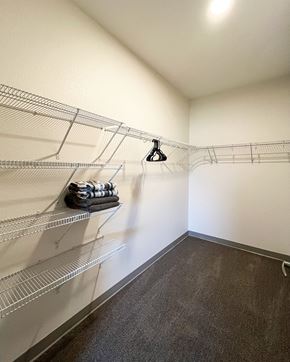 Lake City apartment for rent - a spacious closet with wire shelving and a carpeted floor