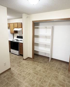 Pine Island apartment for rent - A kitchen area with a stove and an open white closet.