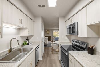 Modern kitchen with cabinets and appliances