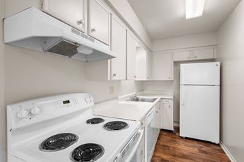 Fully equipped kitchen with cabinets