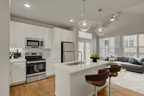 Denton apartment for rent - a kitchen with a sink and a counter top