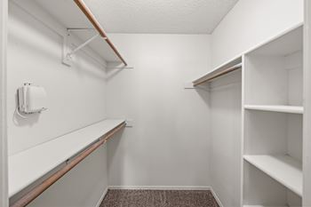 A white closet with shelves and a carpeted floor.