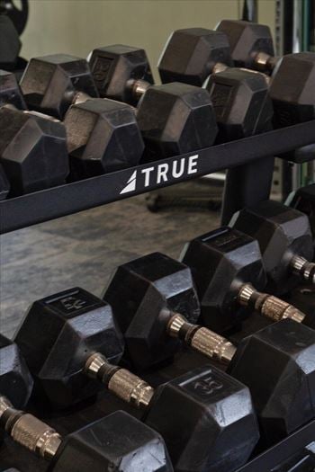 Free weights