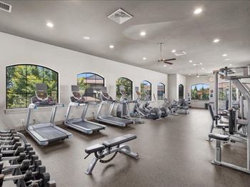 A gym with cardio equipment and windows