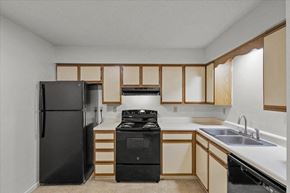Olathe apartment for rent - a kitchen with a stove refrigerator and sinkat Millcreek Woods Apartments, Olathe