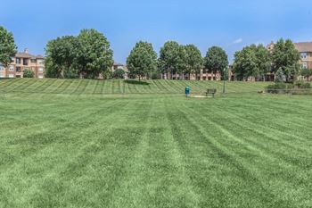 Lawn